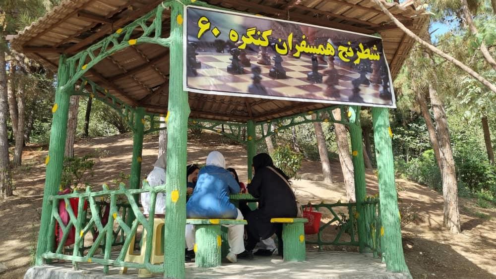 فعالیت‌های ورزشی همسفران در پارک طالقانی