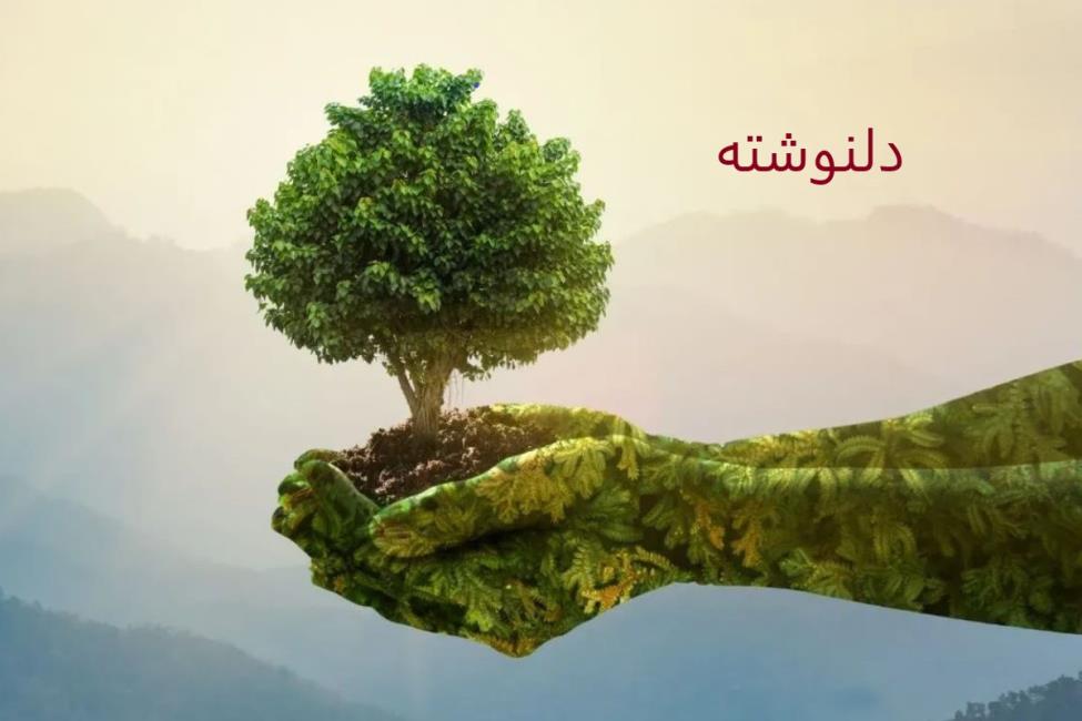 واژه سپاس