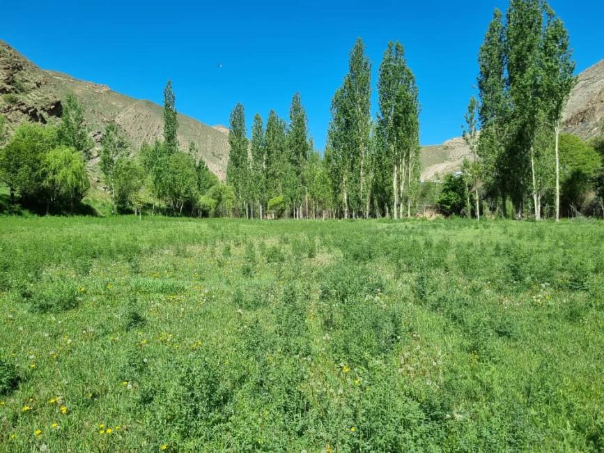 تصویر روز محل برگزاری اردوی سراسری کنگره۶۰ ، بلده