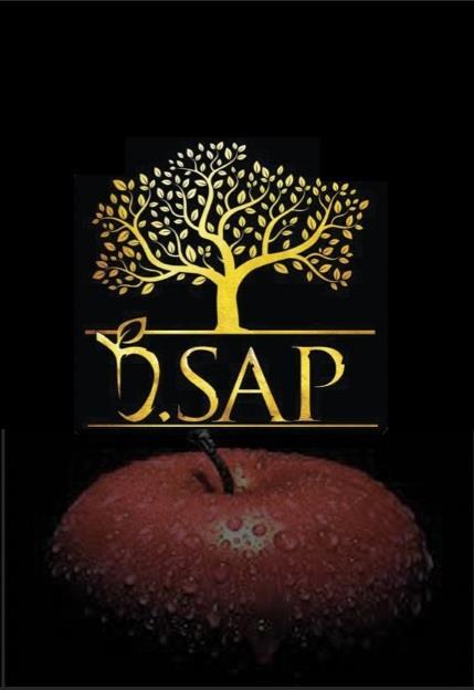 D.sap, one of the discoveries of the Base of Congress60