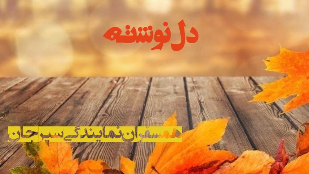 در کنگره درس انسانیت آموختم