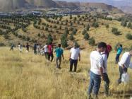 Visual Report of Irrigating Camp in Jajrood Jungle Park