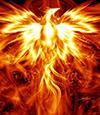 The ashes of the phoenix
