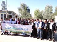 tree planting
