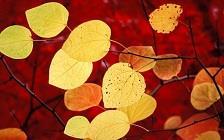We are looking at phenomena and events as our properties. We tryto keep them forever