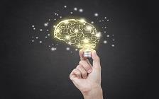 Wisdom: The Leader and Valuable Reference                                              